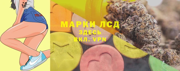 шишки Горно-Алтайск