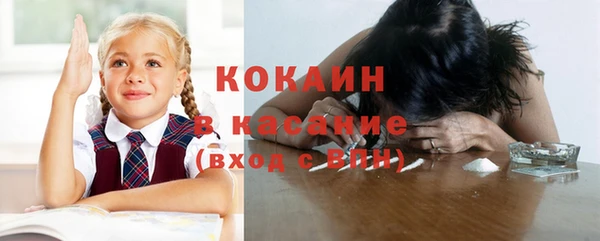 стафф Вязьма