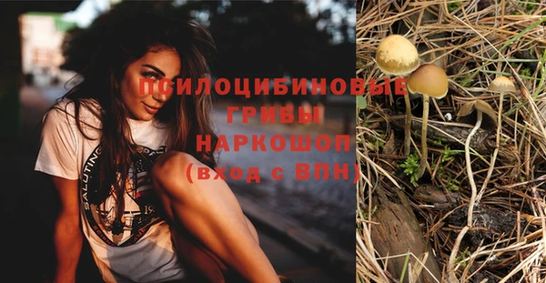 мет Вяземский