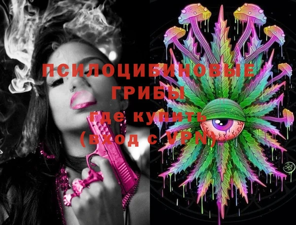 стафф Вязьма