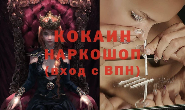 стафф Вязьма