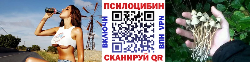 Купить где  Ирбит  Псилоцибиновые грибы прущие грибы 