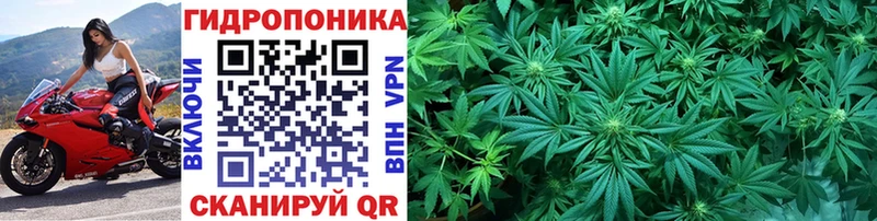Бошки Шишки LSD WEED  Купить где  Ирбит 